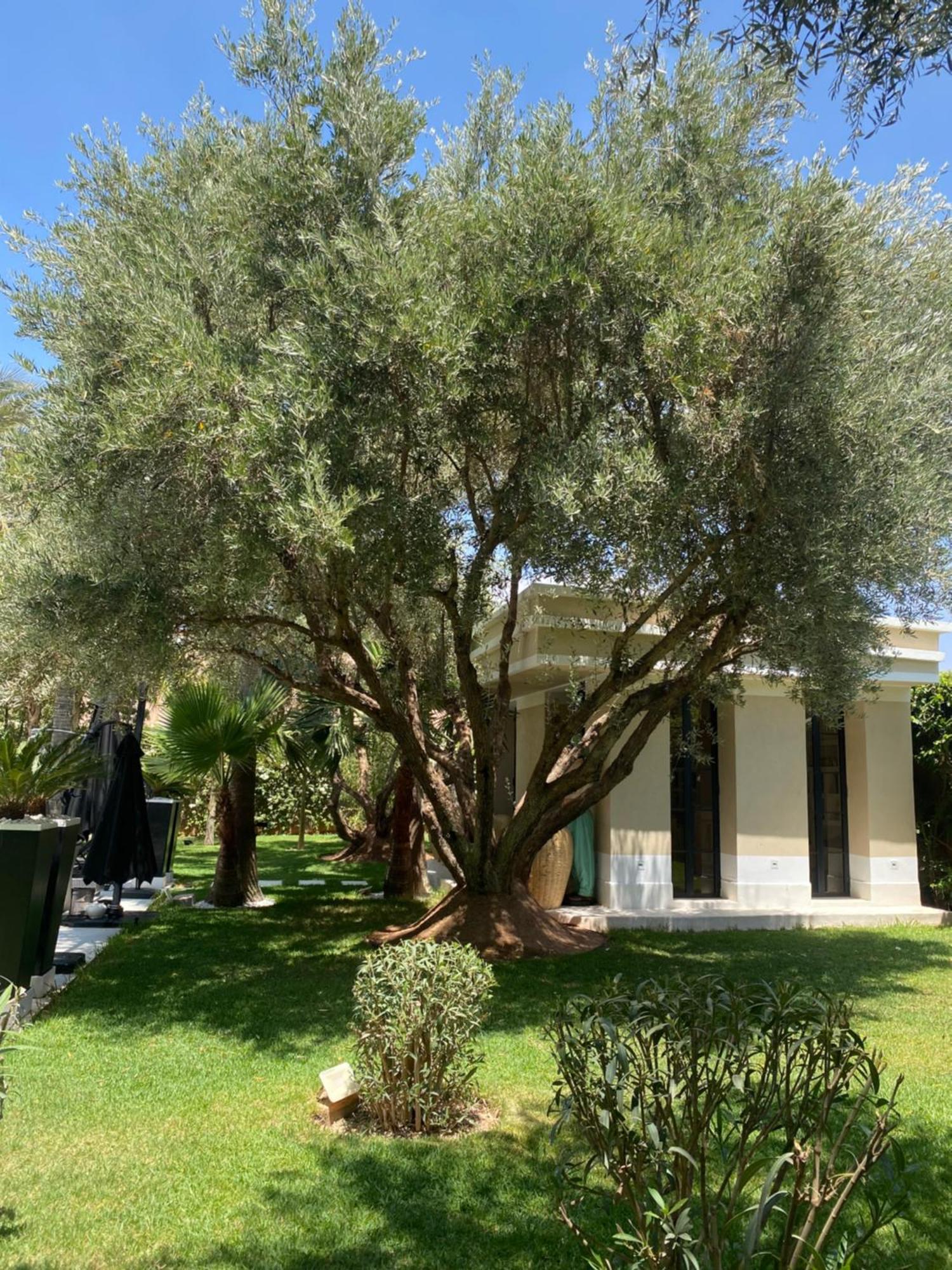 Villa Mano Lagouassem Экстерьер фото